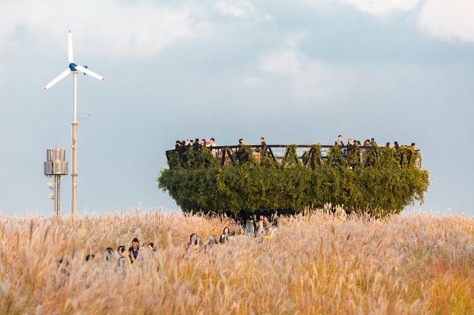 Instagrammable Autumn Foliage Tour From Seoul - Scenic Drive and Breathtaking Viewpoints