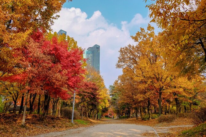 Instagrammable Autumn Foliage Tour From Seoul - Taking in Local Culture and Traditions