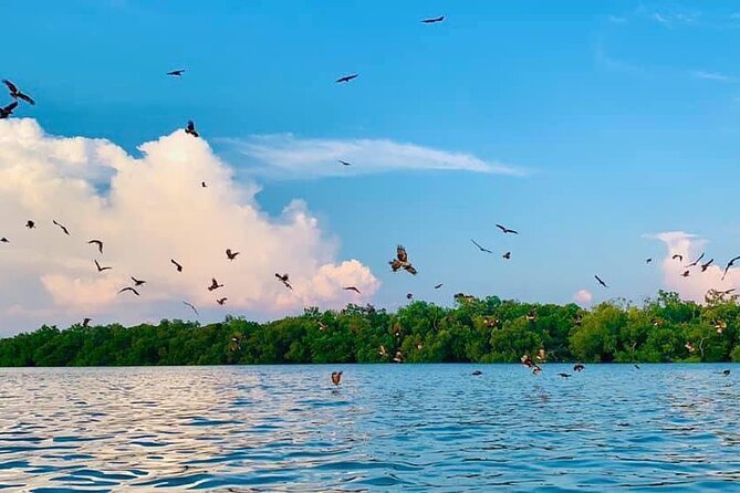 Instagrammable Sky Mirror Tour With Transfer Service - Pricing and Cancellation Policy