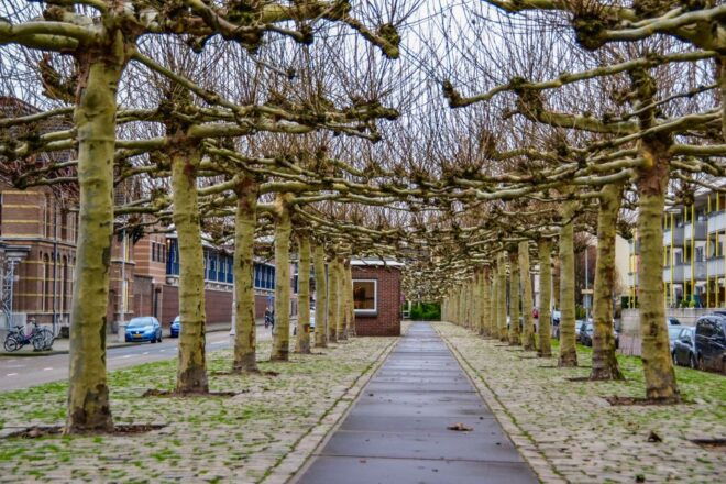 Interactive Amsterdam East City Discovery Game - Common Questions