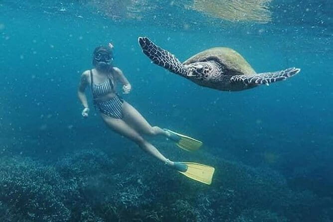 Interactive Cinnamon and Spices Experience at Warala Watta Farm - Who Will Benefit Most?