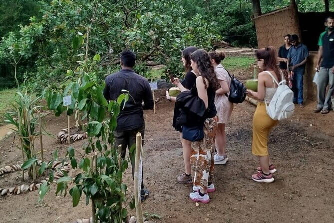 Interactive Cinnamon and Spices Experience at Warala Watta Farm - A Deep Dive into the Warala Watta Spice Garden Experience