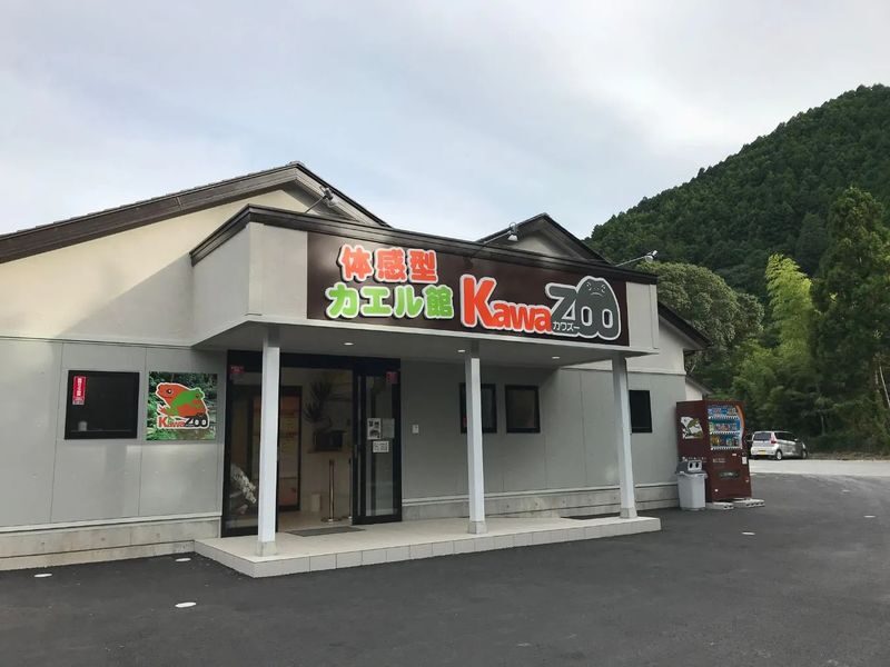 Interactive Frog Museum KawaZoo - Price, time, and what the admission covers