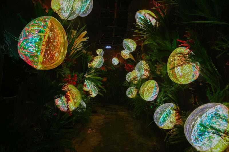 Interactive Light Art Ticket at Sun World Ba Na Hills - Key things to know
