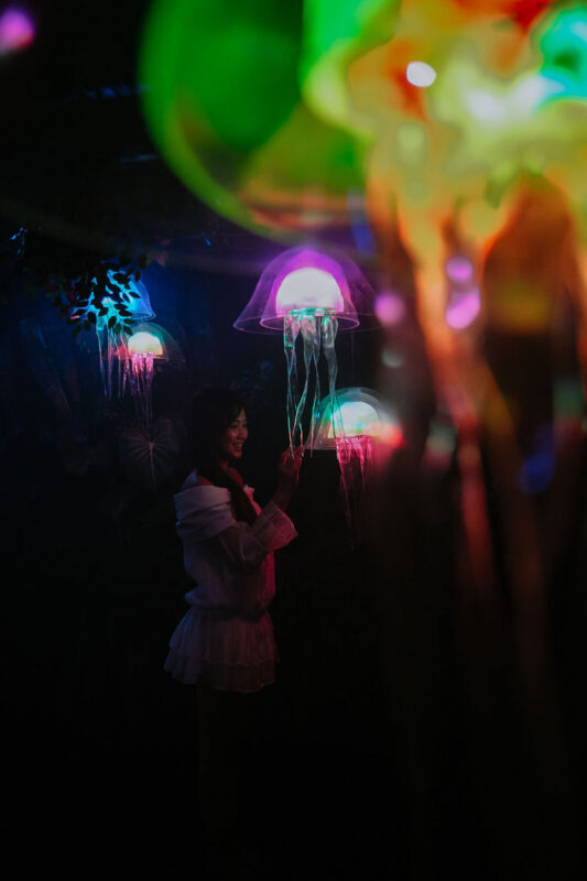 Interactive Light Art Ticket at Sun World Ba Na Hills - How it may fit into a Ba Na Hills day