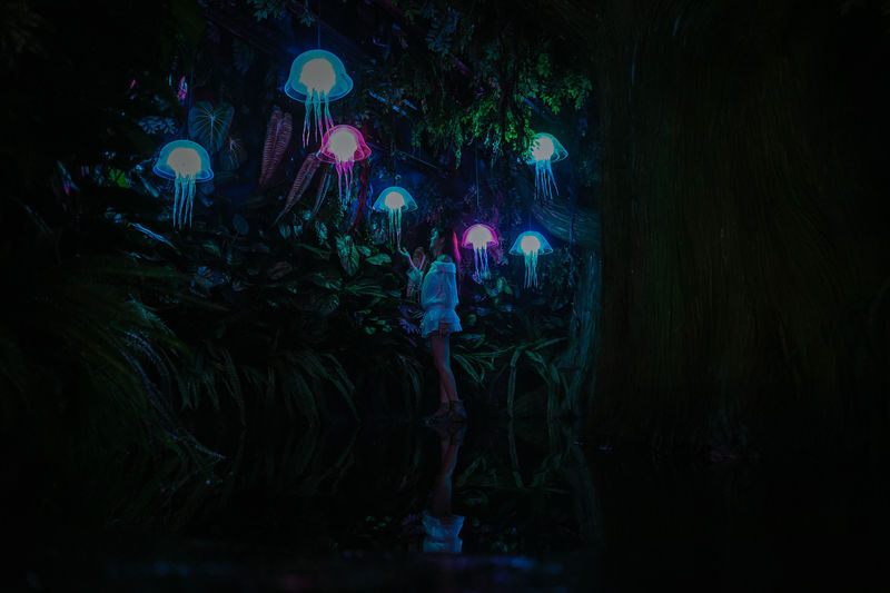 Interactive Light Art Ticket at Sun World Ba Na Hills - Should you book the Lumiere Light Art Museum?