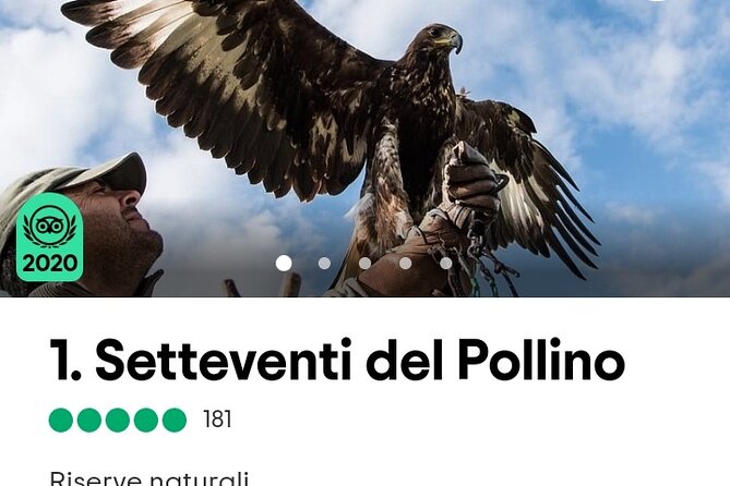 Interactive Path of Birds of Prey - Common Questions