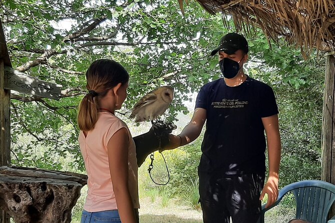Interactive Path of Birds of Prey - The Sum Up