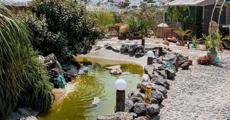 Interactive Private Tour With Wine Tasting,Cooking,Crafting - Wine Tasting Experience