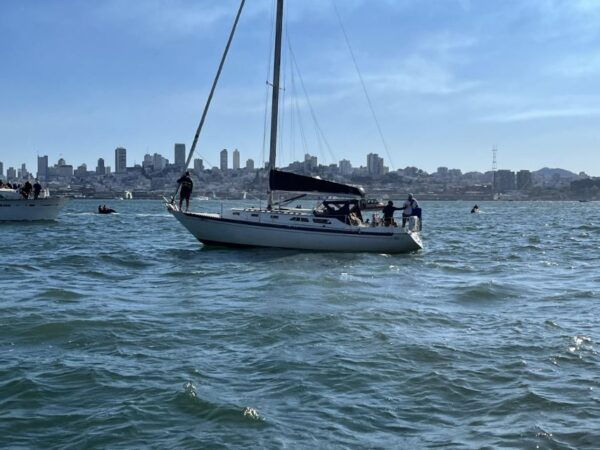 Interactive Sailing Experience on San Francisco Bay - The Sum Up