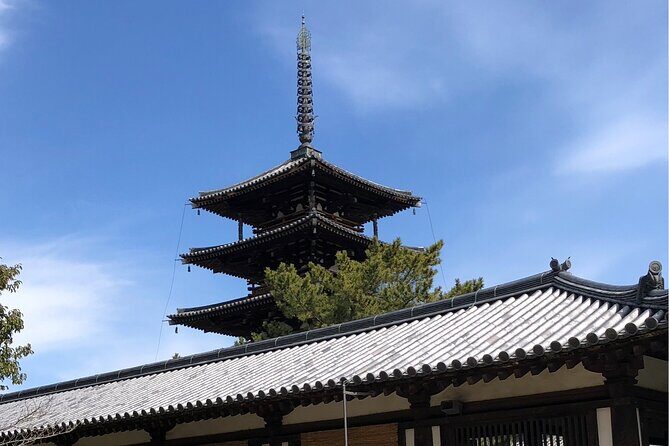 Intercity Transfer Kyoto to Osaka with Nara Sightseeing by Car - Who Should Consider This Tour?