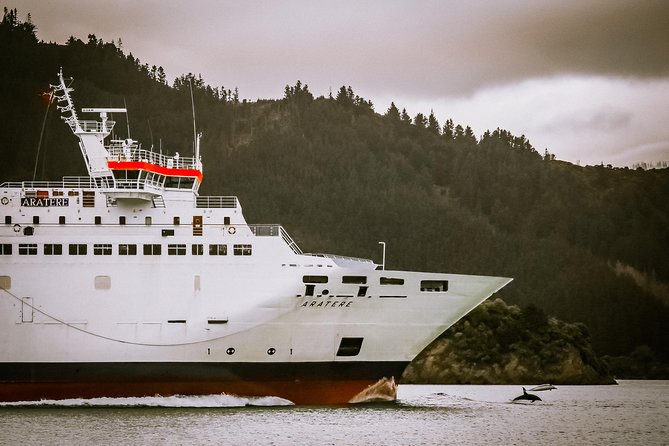 InterIslander Ferry - Wellington to Picton - Additional Info
