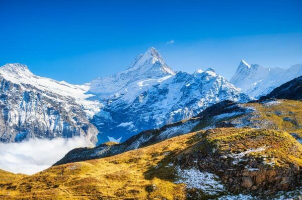 Interlaken: 3/6 Days Private Trekking Swiss Alps - Preparatory Checklist