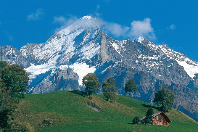 Interlaken and Grindelwald Day Trip From Lucerne - What To Expect