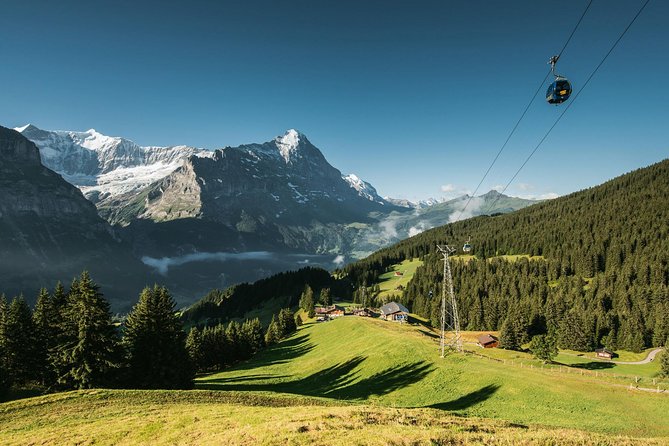 Interlaken and Grindelwald Day Trip From Lucerne - Positive Experiences
