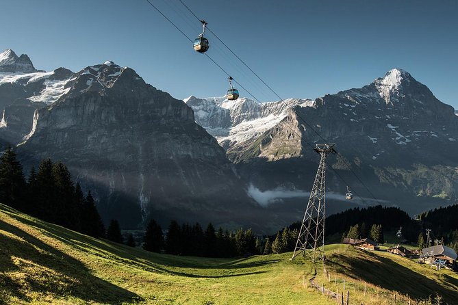 Interlaken and Grindelwald Day Trip From Lucerne - Negative Experiences and Recommendations