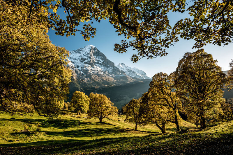 Interlaken and Grindelwald Day Trip with Bus Transportation - Interlaken between two lakes