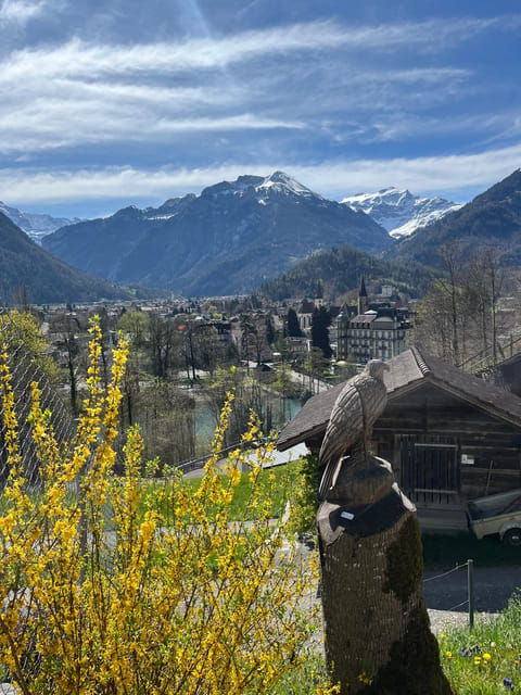 Interlaken: Guided Hike to Harder Kulm With Swiss Triathlete - Customer Testimonials