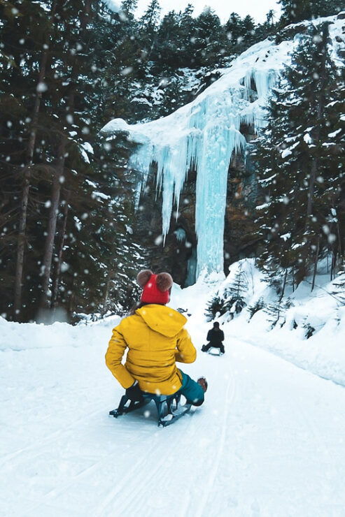 Interlaken: Guided Sledging Adventure - Good To Know