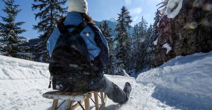 Interlaken: Guided Sledging Adventure - Experience Highlights