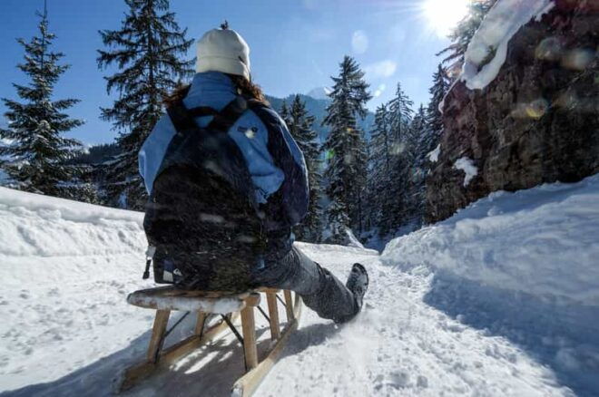 Interlaken: Guided Sledging Adventure - Whats Included