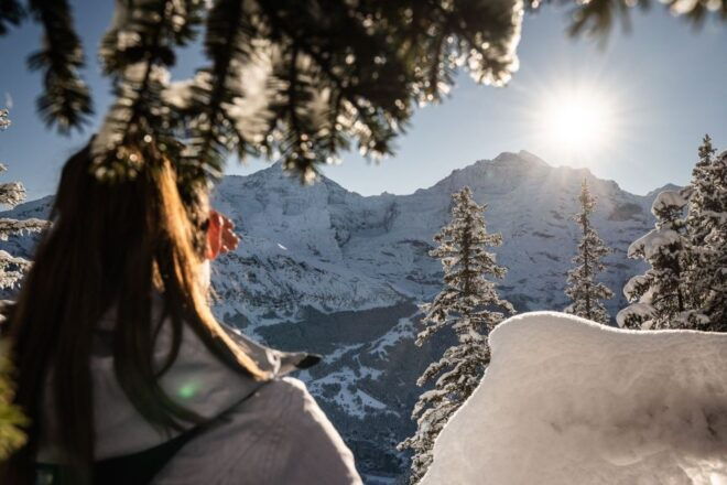 Interlaken: Guided Sledging Adventure - Meeting Point and Recommended Items