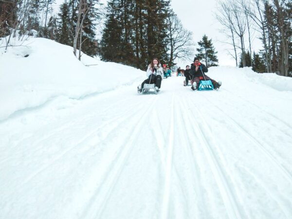 Interlaken: Guided Sledging Adventure - Frequently Asked Questions