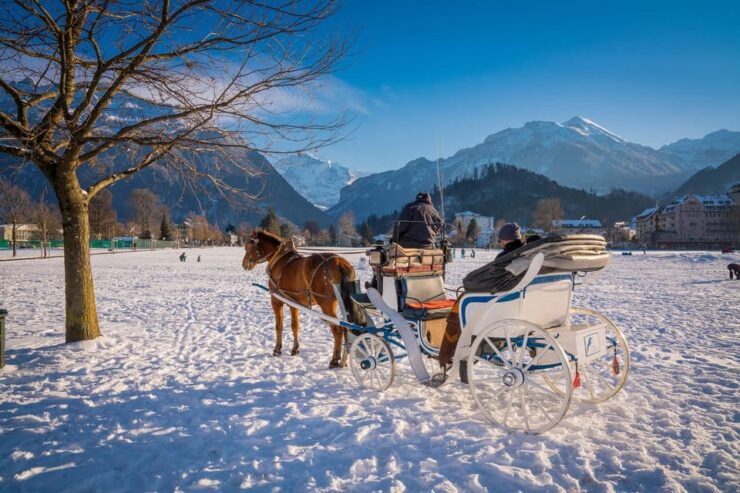 Interlaken: Highlights Tour With Horse Carriage - Tour Overview