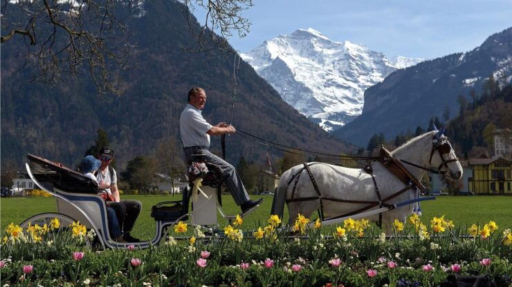 Interlaken: Highlights Tour With Horse Carriage - Itinerary Details
