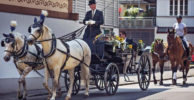 Interlaken: Highlights Tour With Horse Carriage - Frequently Asked Questions