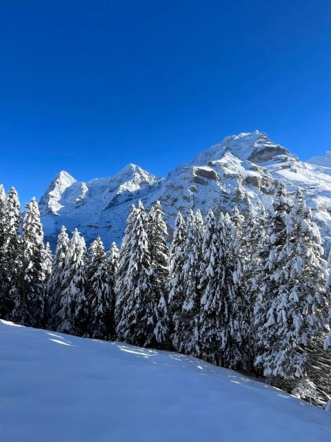 Interlaken. Hiking and Fondue Adventure in the Swiss Alps. - Getting to the Starting Location