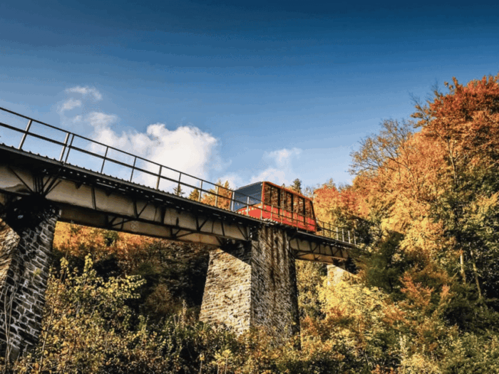 Interlaken: Private Day Trip to Harder Kulm and Grindelwald - Inclusions and Additional Information