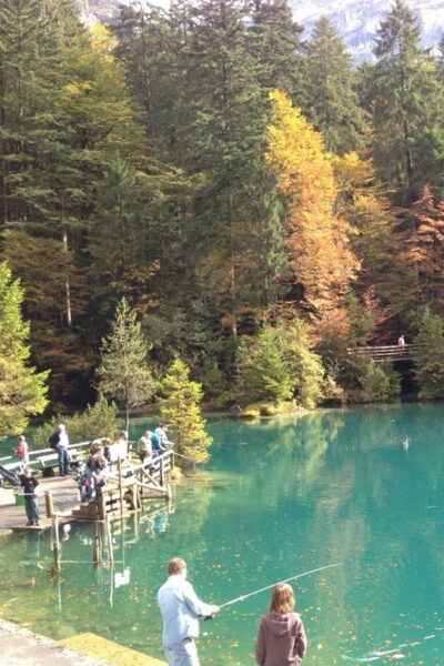 Interlaken Private Tour: Blue Lake & Öschinen Lake - Swiss Life Experiences