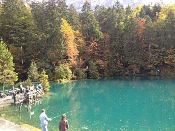 Interlaken Private Tour: Blue Lake & Öschinen Lake - Relaxation by the Lakes