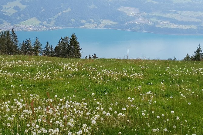 Interlaken Private Tour With Lake Brienz Cruise and Brienzer Rothorn Summit - Cancellation Policy