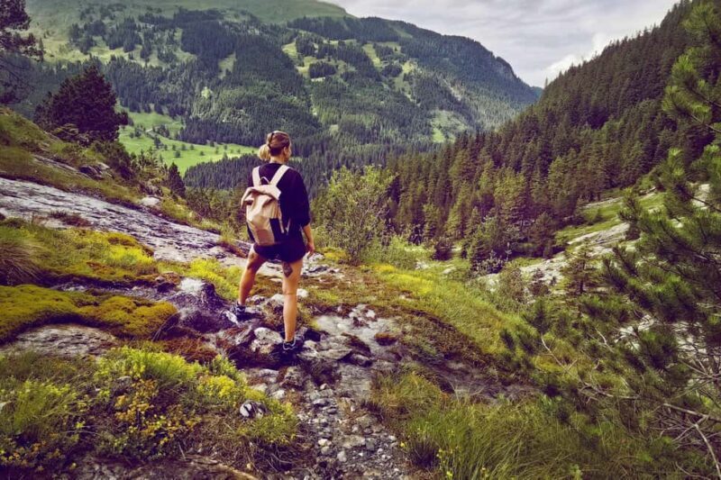 Interlaken: Rosenlaui Hike with Gorge & Alpine Hut Visit - An In-Depth Look at the Rosenlaui Hike Experience