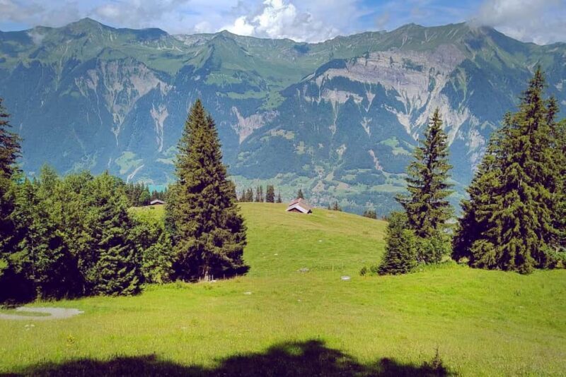 Interlaken: Scenic Walk and Raclette by the Mountain Lake - What sets this experience apart?