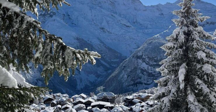 Interlaken: Snowshoe and Fondue Adventure in the Swiss Alps - Activity Details and Logistics