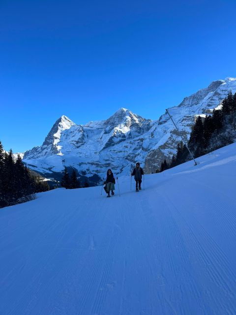 Interlaken: Snowshoe and Fondue Adventure in the Swiss Alps - Highlights of the Adventure