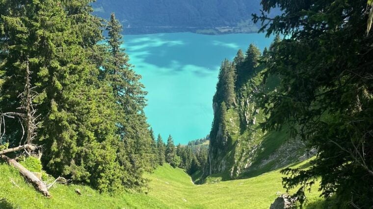 Interlaken: Summit Harder Kulm With a Swiss Triathlete - What to Expect on the Trail