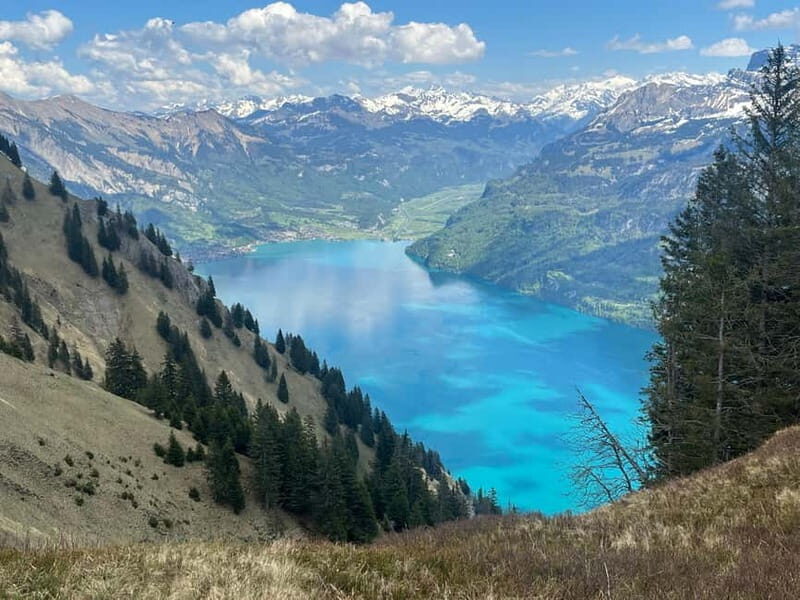 Interlaken: Summit the Augstmatthorn with a Swiss Triathlete - The Experience in Detail