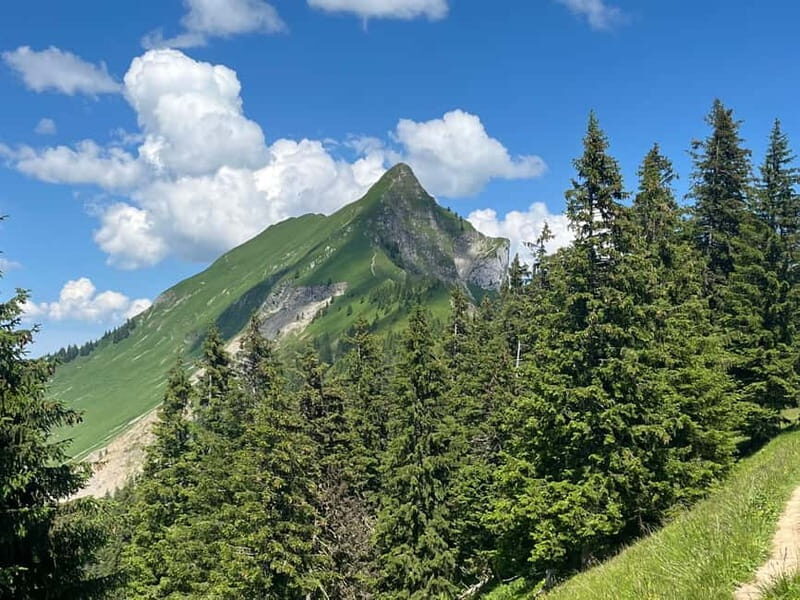 Interlaken: Summit the Augstmatthorn with a Swiss Triathlete - Final Thoughts