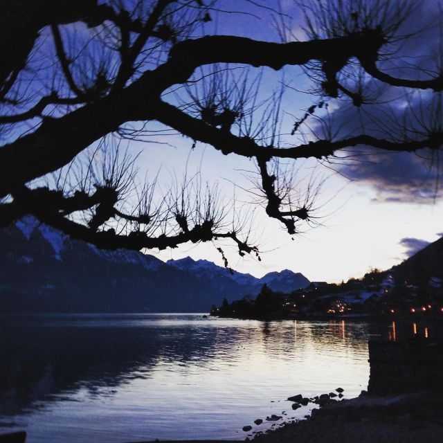 Interlaken: Tailor Made Tour by Car - Booking and Logistics