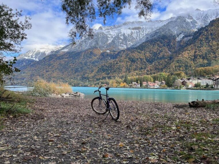 Interlaken Valley E-Bike Tour: Rivers, Lakes & Forests - Admiring the Beauty of Lake Brienz