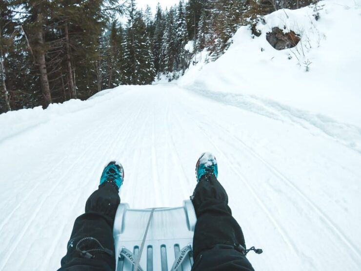 Interlaken: Winter Alpine Adventure - Snowshoe and Sledding - Pricing Details