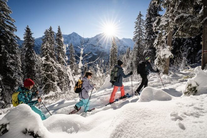 Interlaken: Winter Alpine Adventure - Snowshoe and Sledding - Participant Requirements