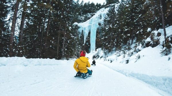 Interlaken: Winter Alpine Adventure - Snowshoe and Sledding - What to Bring