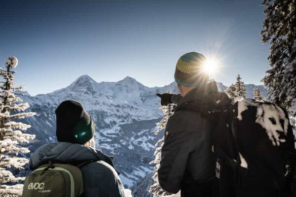 Interlaken: Winter Alpine Adventure - Snowshoe and Sledding - Restrictions