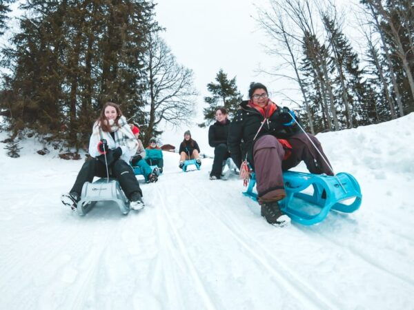 Interlaken: Winter Alpine Adventure - Snowshoe and Sledding - Customer Reviews