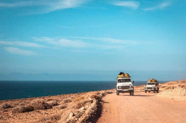Intermediate & Advenced Surf Course in Fuerteventura's South - Booking and Logistics